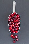 Cranberries on a shovel