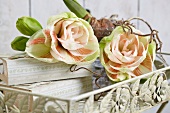 Rosa Amaryllisblüten auf einem romantischen Metalltablett