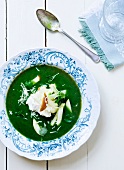 Pea soup with fish and apple