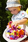Baby spielt mit Blüten im Korb