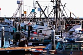 A fishing harbour in Santa Barbara, California