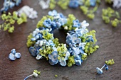 Kränzchen aus blauen Hortensienblüten und Frauenmantel