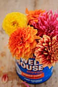 Farbenprächtiger Blumenstrauss mit Dahlien in einer alten Kaffeedose