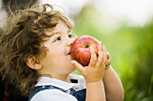 Kleiner Junge riecht an einem großen Apfel
