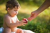 Kleines Kind betrachtet einen reifen Pfirsich