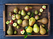 A Variety of Apples and Pears in a Wooden Box