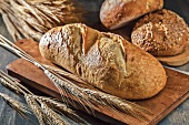 Verschiedene Brote mit Weizenähren