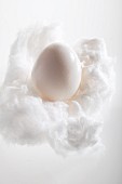 A white egg on a cloud