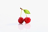 A pair of cherries on the stalk, with a leaf