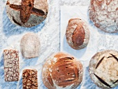 A variety of loaves, on paper and on a marble surface, dusted with flour