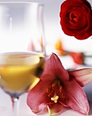 White wine and fragrant flowers