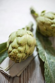 Two fresh artichokes