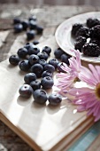 A summer still life of blueberries, blackberries and flowers