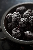 Frozen blackberries in a bowl