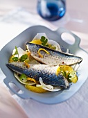 Mackerel with oranges and fennel
