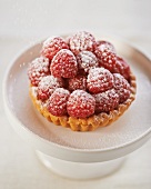 Individual Raspberry Dessert Dusted with Powdered Sugar