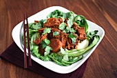 Red pork curry with coriander and pak choi