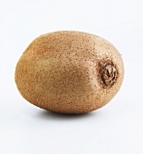 A kiwi