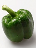 A green pepper with drops of water
