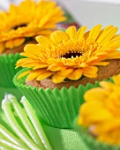 Celebration cupcakes with flowers