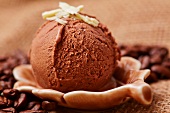 Home-made mocha ice cream with coffee beans and white chocolate