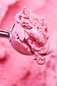 A scoop of home-made blackberry ice cream in an ice-cream scoop
