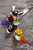 Antique spoons decorated with flowers