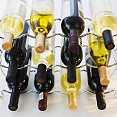 Assorted wine bottles on wine rack