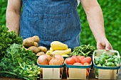 Bauer zeigt Gemüse in Spankörben