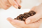 Coffee beans on woman's hand
