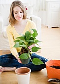 Junge Frau beim Umtopfen einer Zimmerpflanze