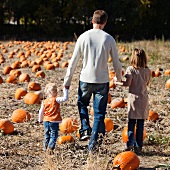 Father and daughters in pumpkin patch