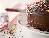 Close up of chocolate cake with sprinkles