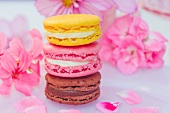 Stacked macarons (chocolate, strawberry, lemon) in front of pink flowers