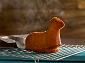 Lamb shaped cake for Easter cooling on a rack