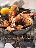 Barbecued langoustines in a bowl on the barbecue