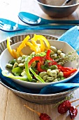 Vegetable salad with colorful pepper strips and fava beans