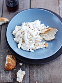 Penne with ricotta and Gorgonzola sauce