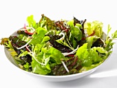 Grüner Salat in einer Schale