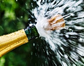 Opened champagne bottle with flying cork