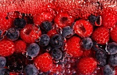 Mixed berry jelly