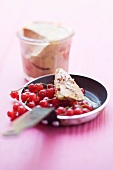 Goose liver terrine with red currants