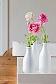 Pink and white ranunculus in white china vases
