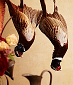 Two Dead Pheasants Hanging