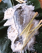 Gilt-head bream with salt and lemon grass