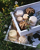 Assorted types of goat's cheese in a wooden box