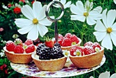 blackberry and rasberry tarts on a plate outside