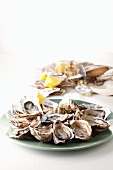 Fresh oysters with lemon