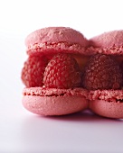 Macarons mit Himbeeren