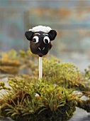 A cake pop (a chocolate sheep)